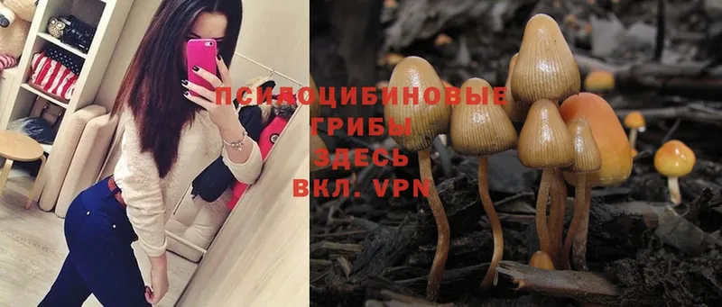 Псилоцибиновые грибы Magic Shrooms  Воркута 